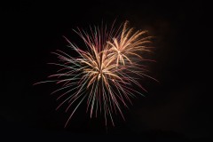 710_6660-copy