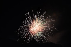 710_6661