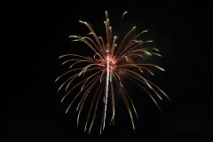 710_6678-copy