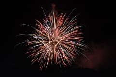 710_6695-copy