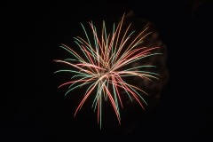 710_6702-copy
