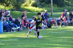 D4S_3184