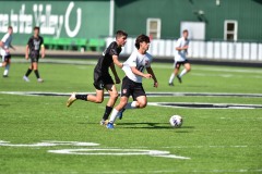 D4S_0985