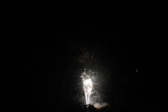 710_9503