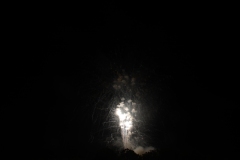 710_9504