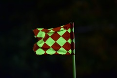 D4S_3646